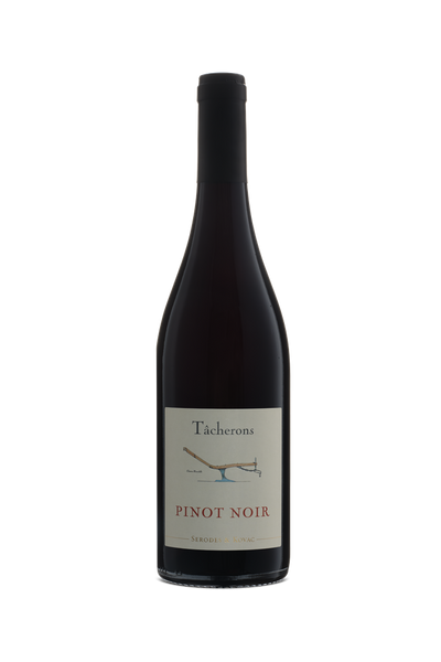 Tacherons Pinot Noir VdF 2024 – Uncharted Wines