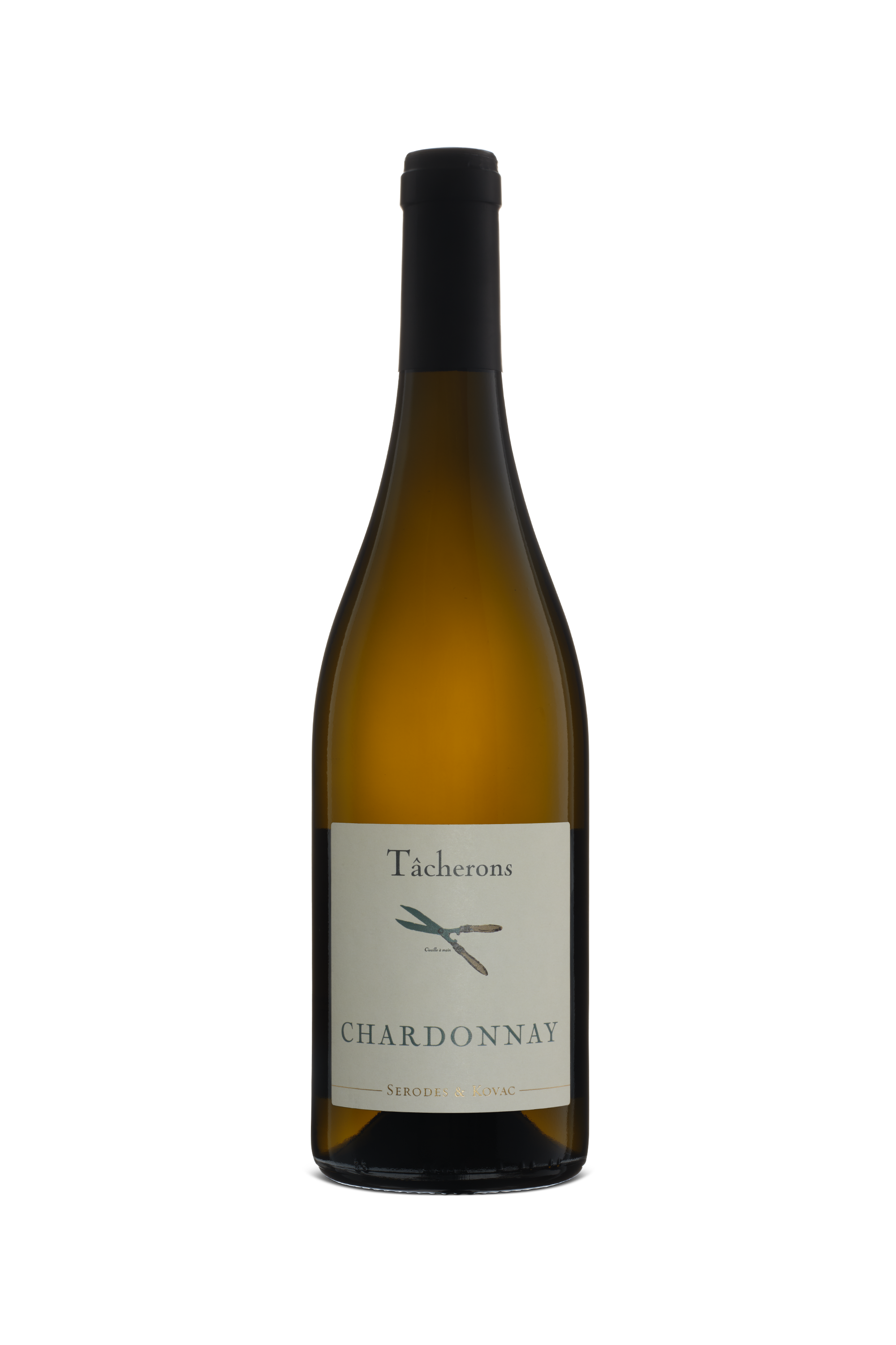 Tacherons Chardonnay VdF 2023 – Uncharted Wines