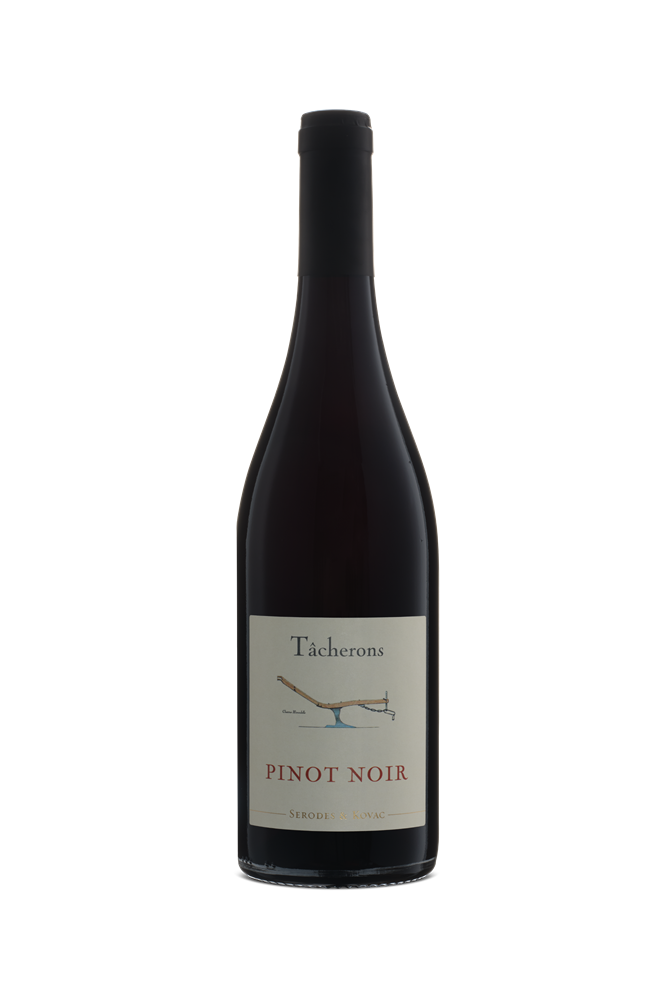 Tacherons Pinot Noir VdF 2024