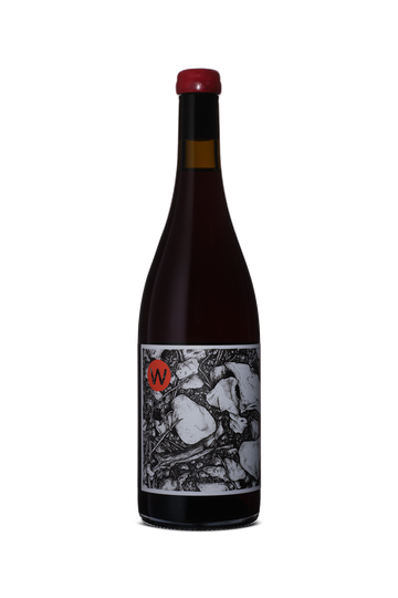 Westwell Pinot Noir 2023
